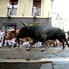 Španělsko, Pamplona, San Fermin, bejci
