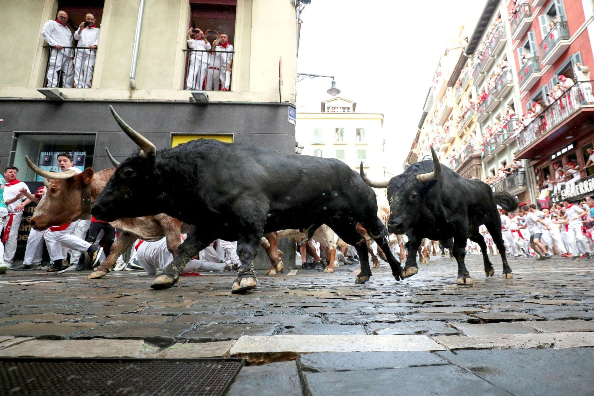 Španělsko, Pamplona, San Fermin, bejci