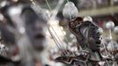 Revellers of the Unidos da Tijuca samba school participate in the annual carnival parade at Rio de Janeiro's Sambadrome, February 10, 2013. REUTERS/Sergio Moraes (BRAZIL - Tags: SOCIETY) Published: Úno. 11, 2013, 3:30 dop.