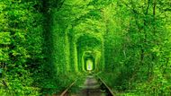 Tunel lásky na Ukrajině si oblíbili hlavně všichni zamilovaní.