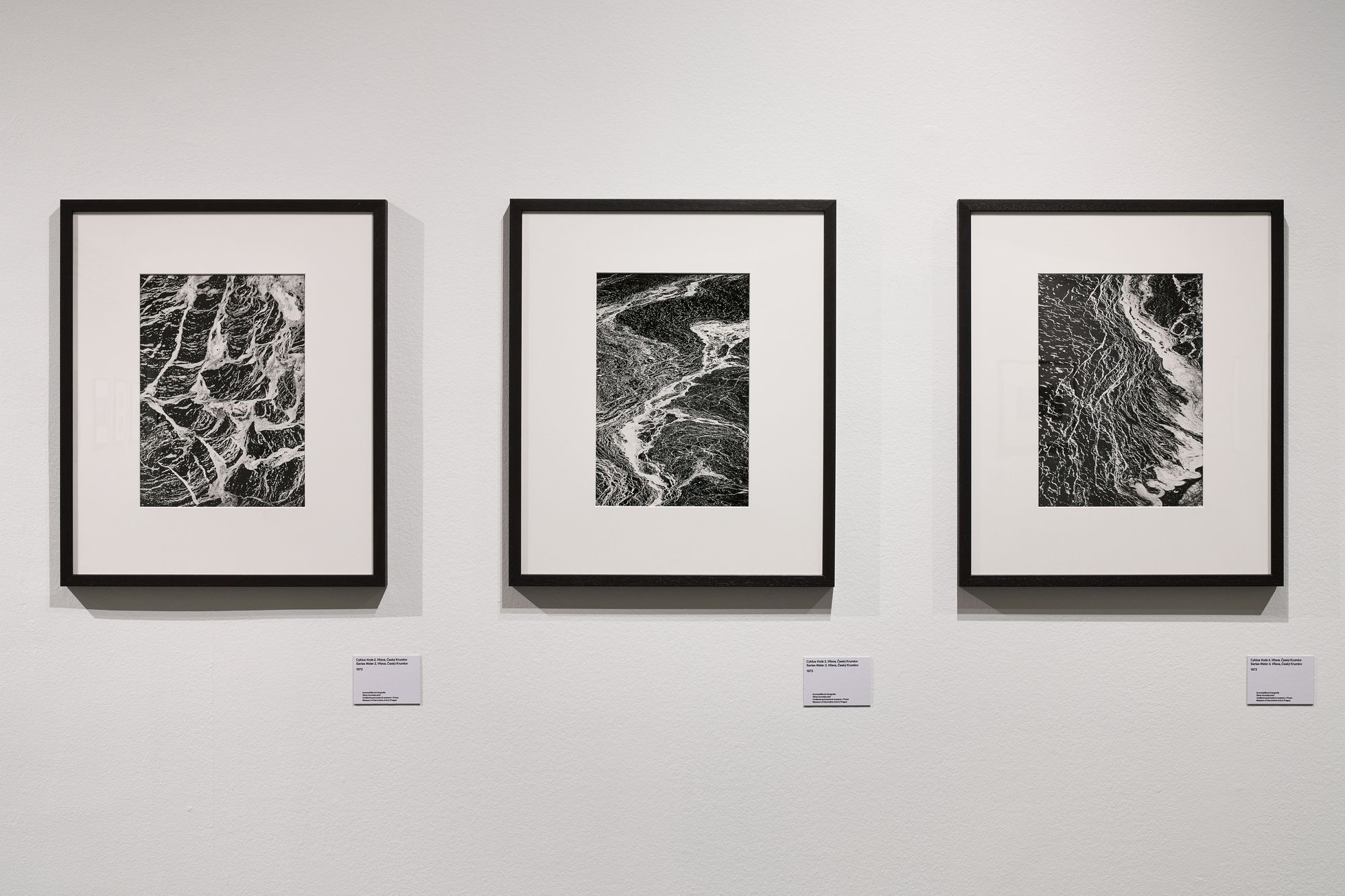 Helena Wilsonová, výstava, 2024