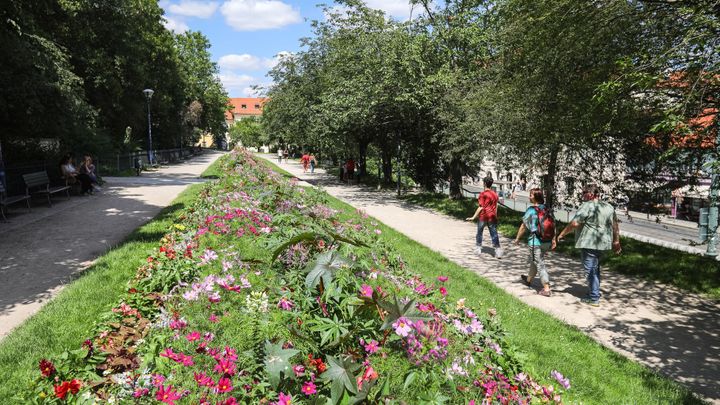 Od úterý do čtvrtka čekají Česko opět tropické teploty, na víkend se ochladí; Zdroj foto: Jakub Plíhal