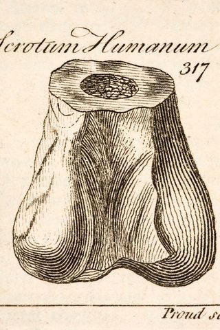 Na počátku své kariéry přitom Buckland věřil, že našel geologický důkaz biblické potopy.