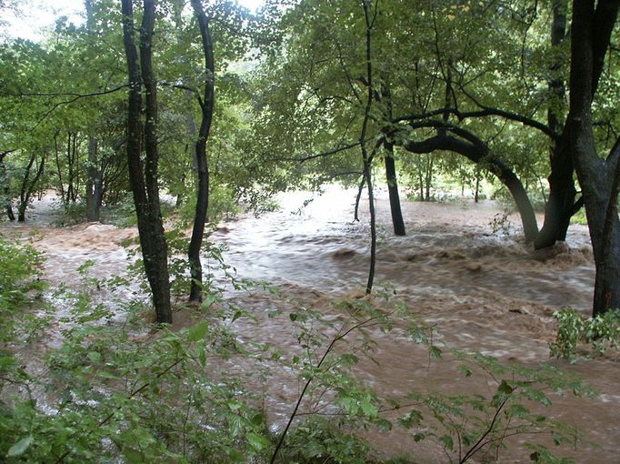 Rozliv Chomutovky v přírodě (oblast pod I. Mlýnem; 12. 8. 2002)