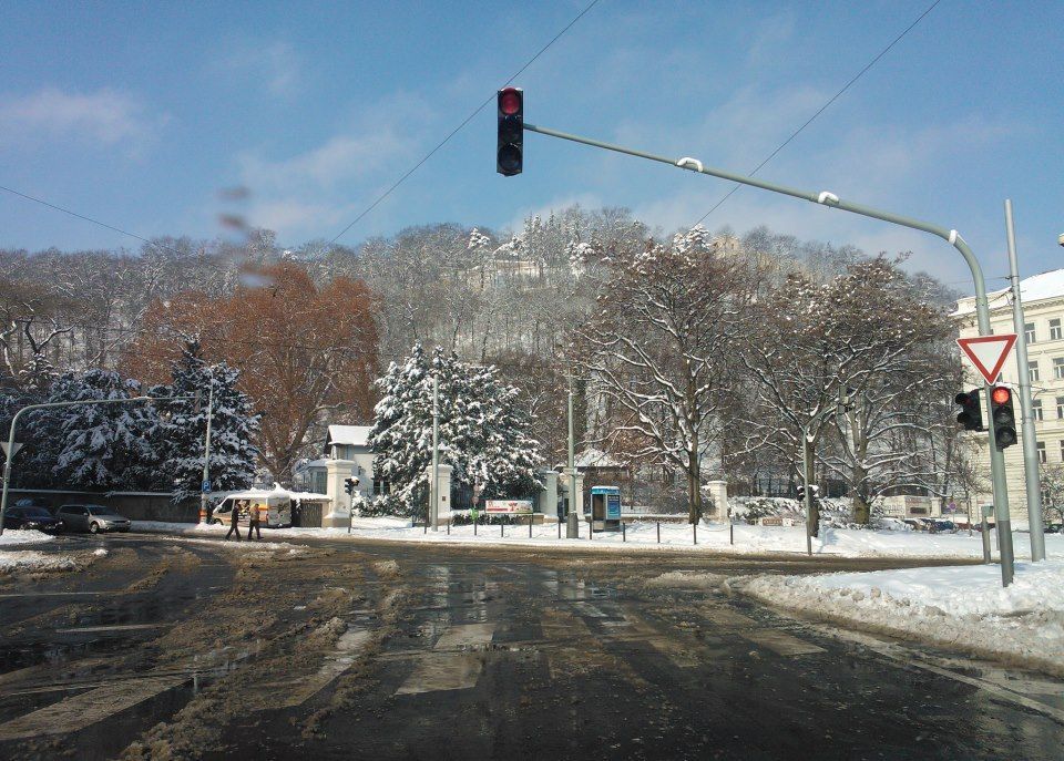 Sníh
