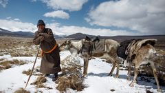 FOTOGALERIE / Život kočovných pastýřů v Mongolsku / Reuters / rok 2018 / 4
