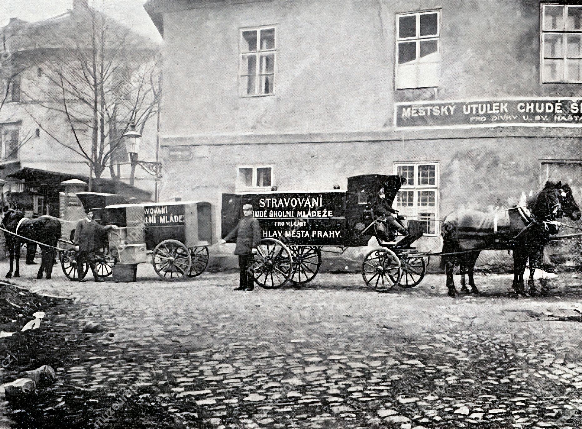 Chudá Praha, kniha, Muzeum hlavního města Prahy, historie, Domácí