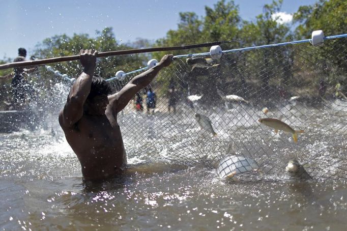 Yawalapiti men fish to feed the guests of this year's 'quarup,' a ritual held over several days to honour in death a person of great importance to them, in the Xingu National Park, Mato Grosso State, August 13, 2012. This year the Yawalapiti tribe honoured two people - a Yawalapiti Indian who they consider a great leader, and Darcy Ribeiro, a well-known author, anthropologist and politician known for focusing on the relationship between native peoples and education in Brazil. Picture taken August 13, 2012. REUTERS/Ueslei Marcelino (BRAZIL - Tags: ANIMALS ENVIRONMENT SOCIETY) FOR EDITORIAL USE ONLY. NOT FOR SALE FOR MARKETING OR ADVERTISING CAMPAIGNS. ATTENTION EDITORS - PICTURE 04 OF 37 FOR THE PACKAGE 'THE YAWALAPITI QUARUP RITUAL' Published: Srp. 29, 2012, 10:20 dop.