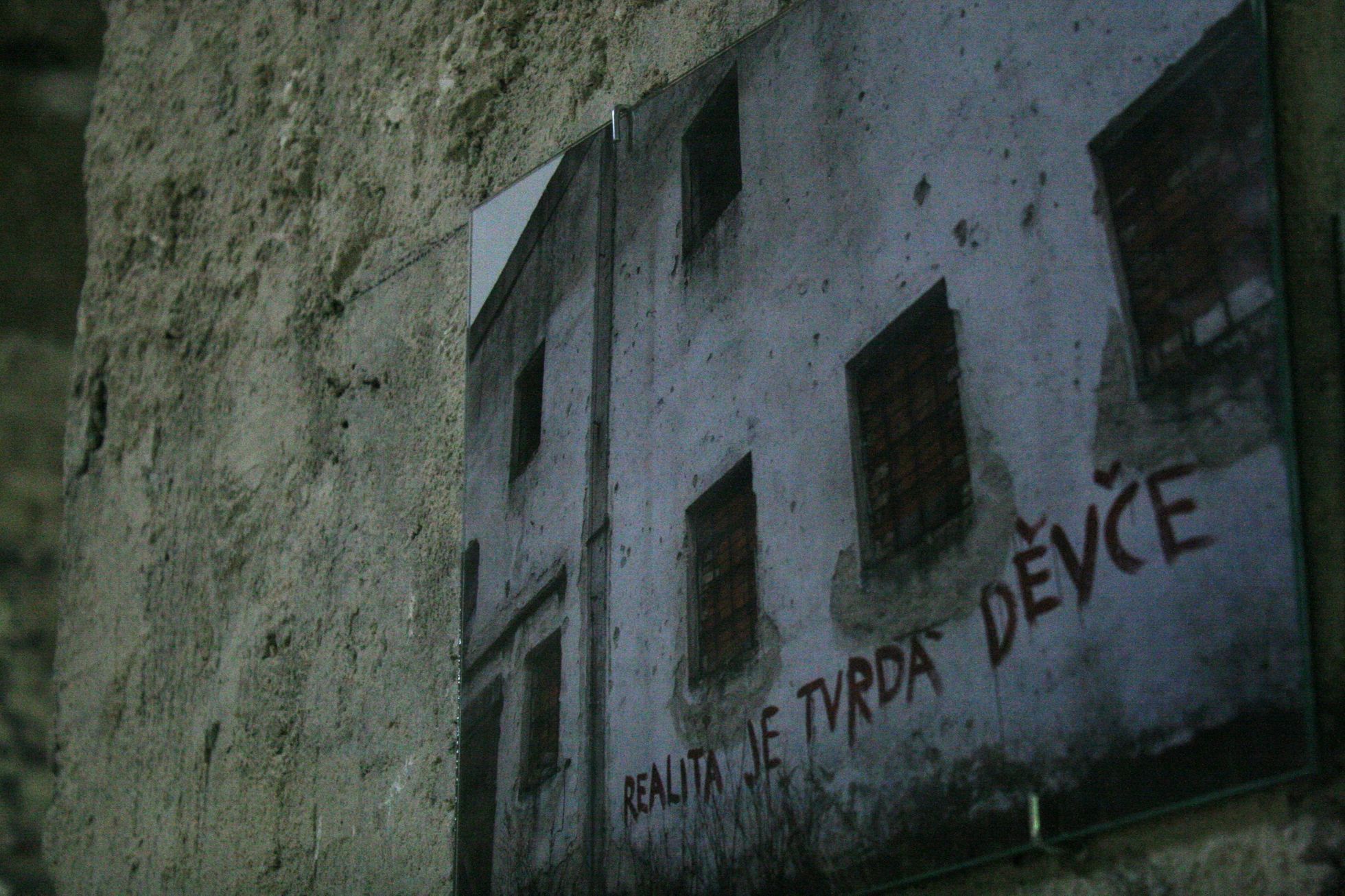 4+4 dny v pohybu výstava 2014