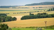 Kolem hory Blaník obnovili nadšenci, dobrovolníci i obce více než 200 kilometrů alejí. Bylo kvůli tomu potřeba vysadit 30 tisíc stromů: 189 alejí je ovocných, dalších 124 tvoří ostatní listnaté stromy. A výsadba stále pokračuje.