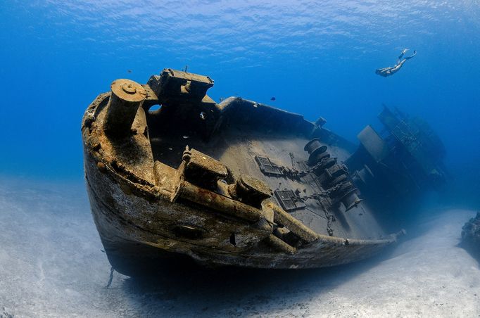 Vítězové fotografické soutěže Underwater Photographer of the Year 2022