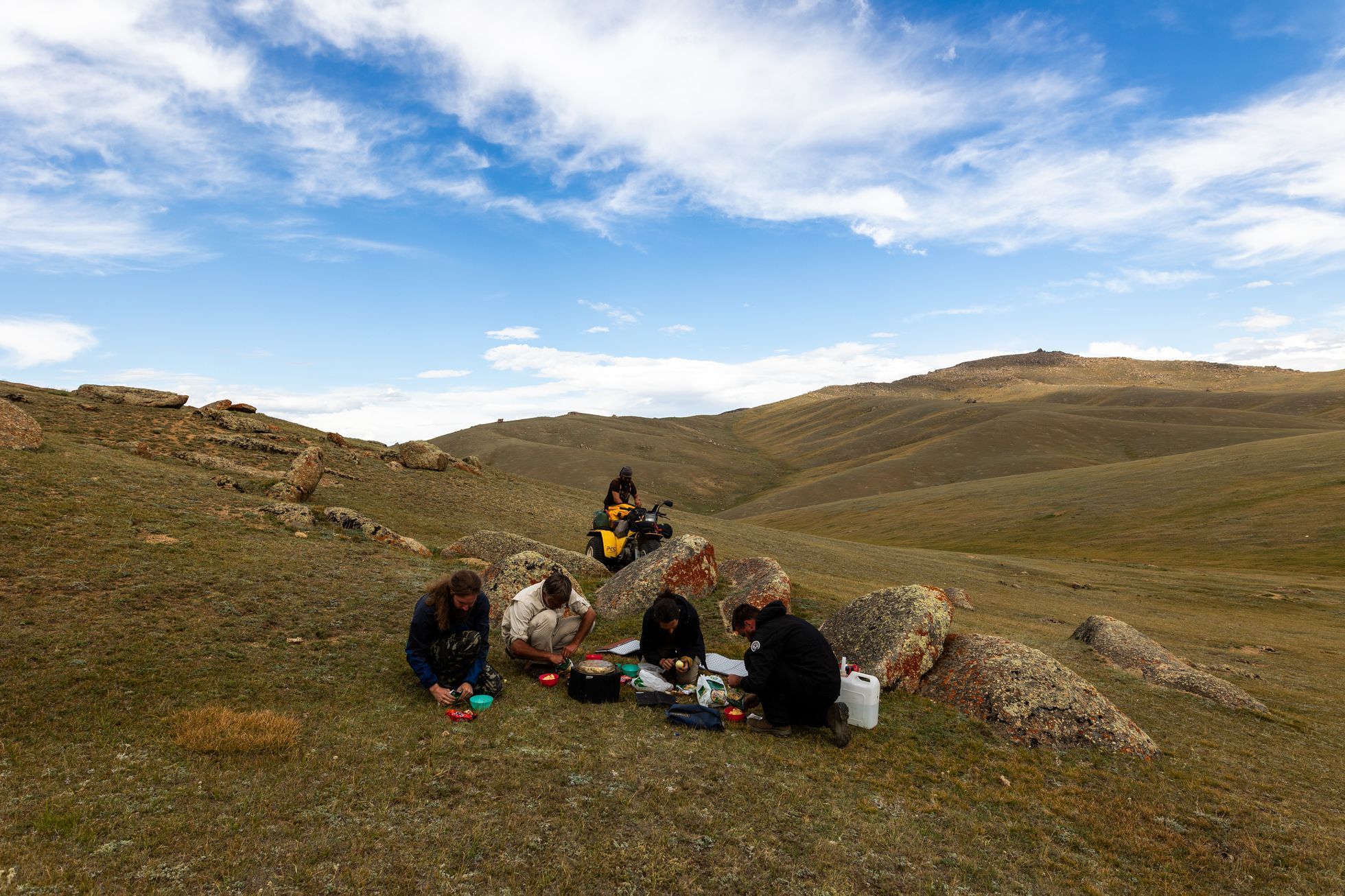 Žlutá žába pluje