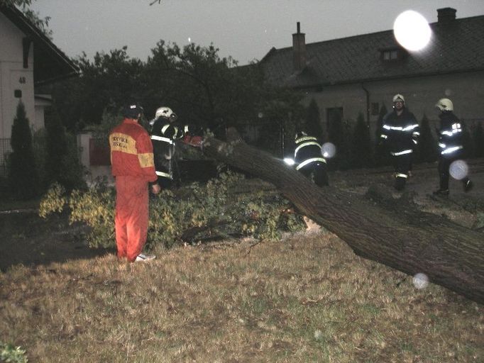 V Novém Městě na Hradecku spadl strom na dráty elektrického vedení.