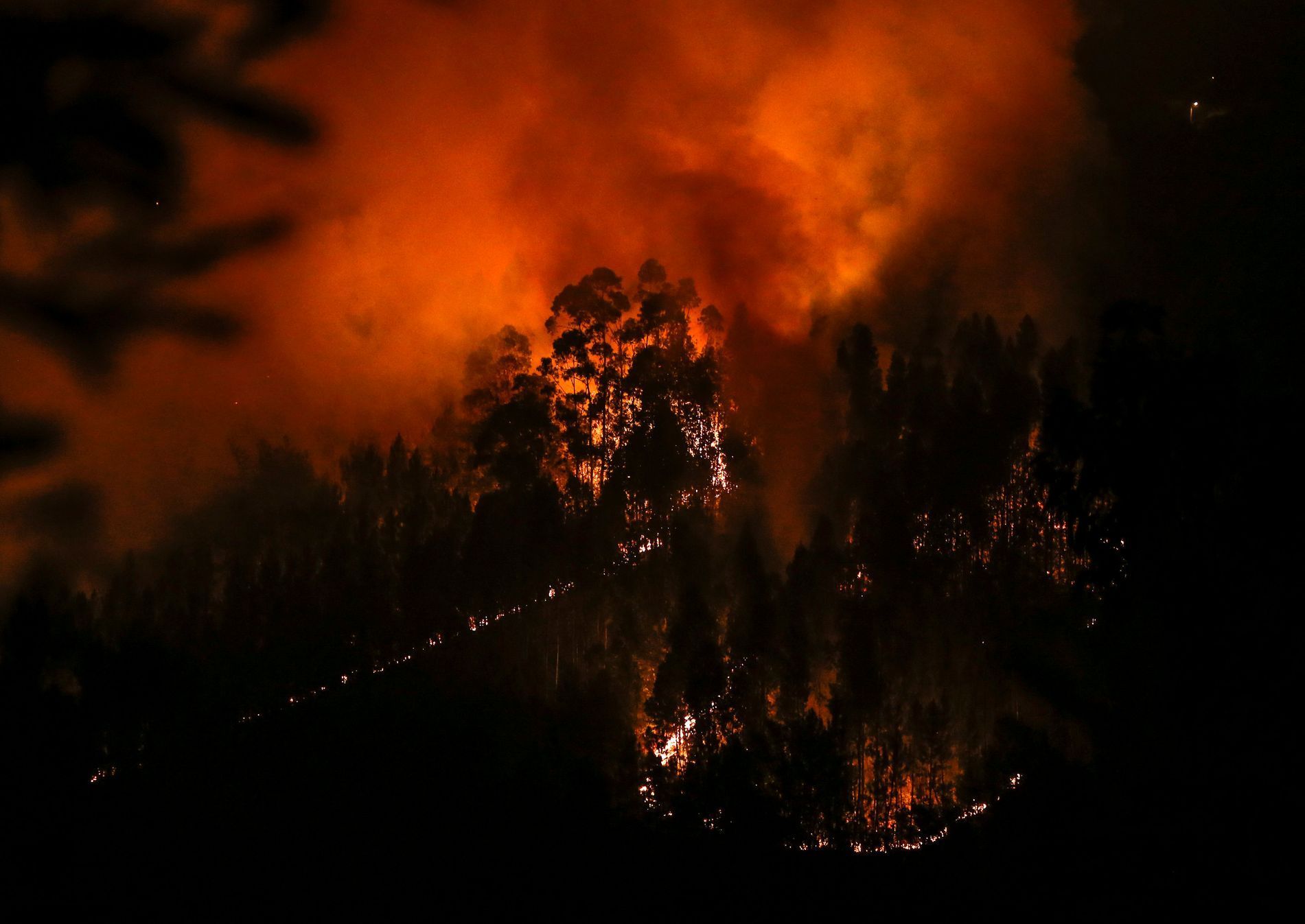 Lesní požáry v Portugalsku