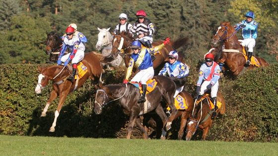 Z Velké Pardubické: Radost vítěze i smrt koňské krásy