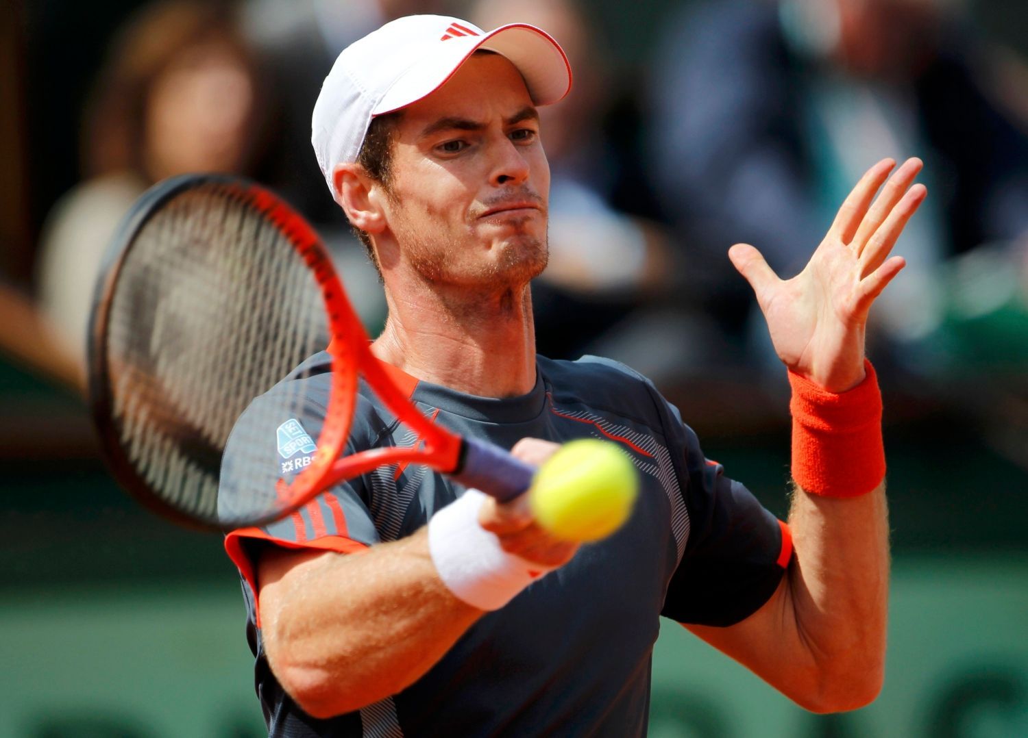 Andy Murray, French Open 2012