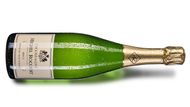 Champagne Brut 1er Cru Michel Rocourt - 550 Kč