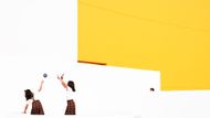 V profesionální kategorii Umělecká fotografie / Architektura zvítězil španělský fotograf David Airob s cyklem fotografií White Niemeyer. Airob fotografoval kulturní centrum Niemeyer v Aviles a jeho snímky vynikají graficky laděnou kompozicí.