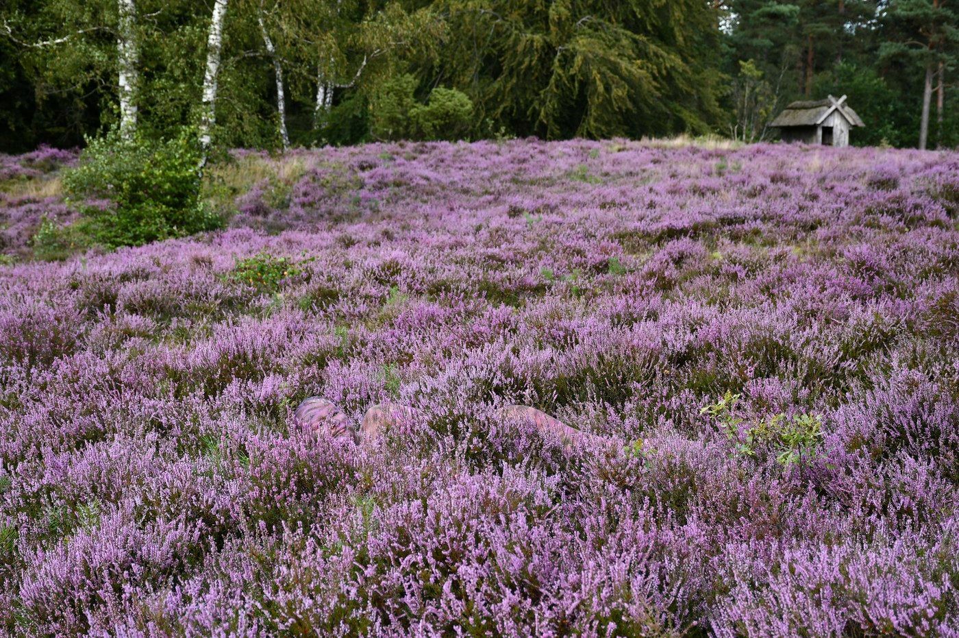 S foťákem kolem světa.