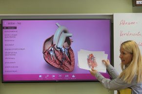 Foto: Pulzující srdce nebo obíhající planety. Výuku přírodních věd mění 3D modely české firmy