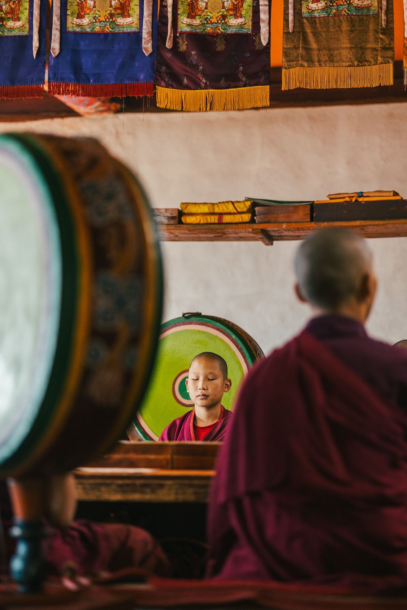 Žlutá žába Dan Přibáň