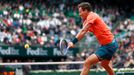 French Open 2015: Tomáš Berdych