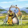 madagaskar 2