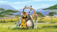 Známou se ostrovní země stala zejména díky stejnojmennému animovanému filmu, v němž na Madagaskar omylem "zabloudí" čtveřice zvířat z newyorské zoo.