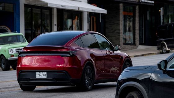 Tesla Robotaxi