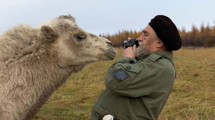 Dva vědci se snaží zachránit permafrost. Na Sibiři chovají bizony i pižmoně; Zdroj foto: Reuters