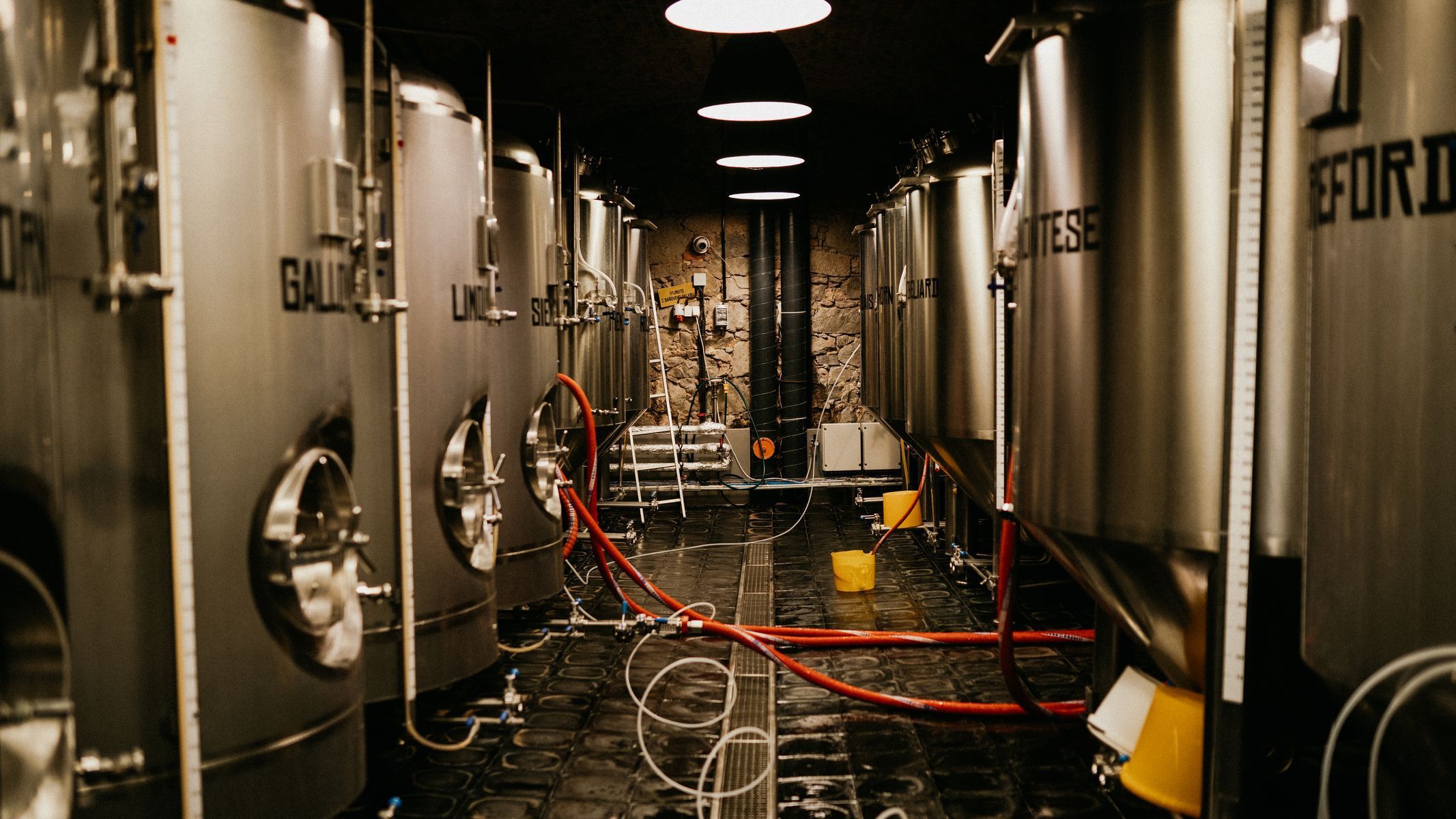 pivovar zlatá kráva sládková Nepomuk pivo