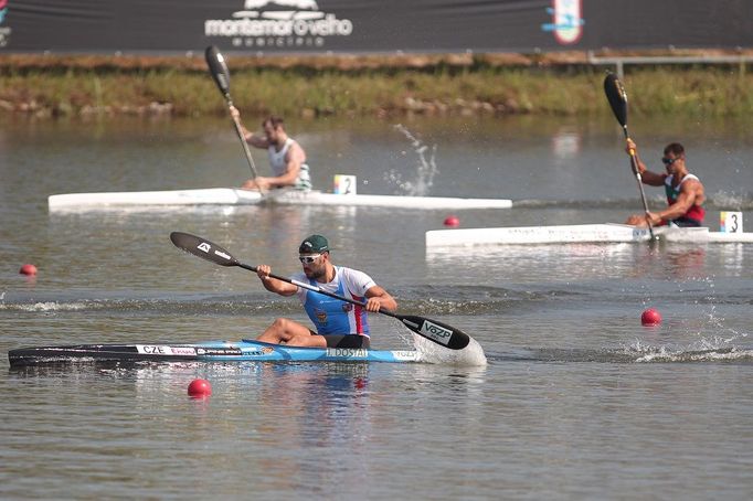 MS v kanoistice 2018 (Dostál)