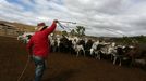 Brazilští indiáni Macuxi v ohrožení farmáři a těžaři