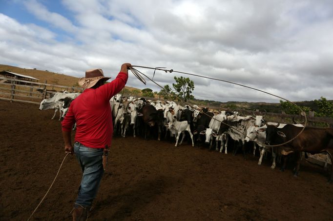 Brazilští indiáni Macuxi v ohrožení farmáři a těžaři