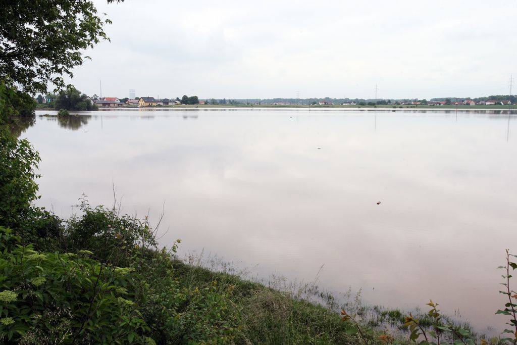 Evakuovaní