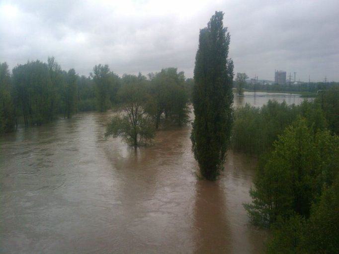 Řeka Odra v Ostravě - Svinově.