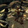 Dark Sector