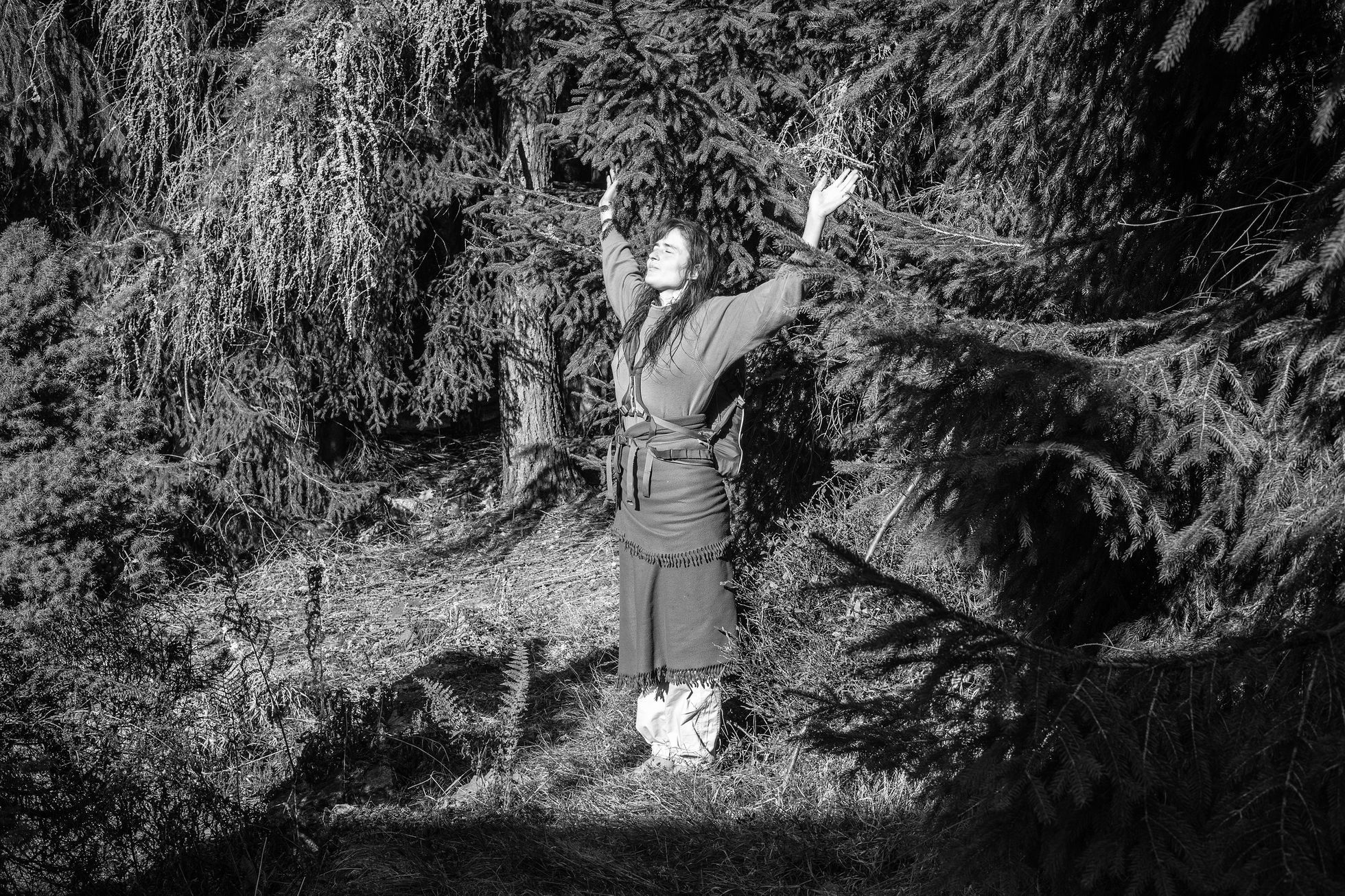 Aleš Palán, Samotáři 2