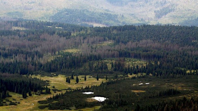 Šumava, ilustrační foto.