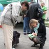 zelená kampaň v Brně
