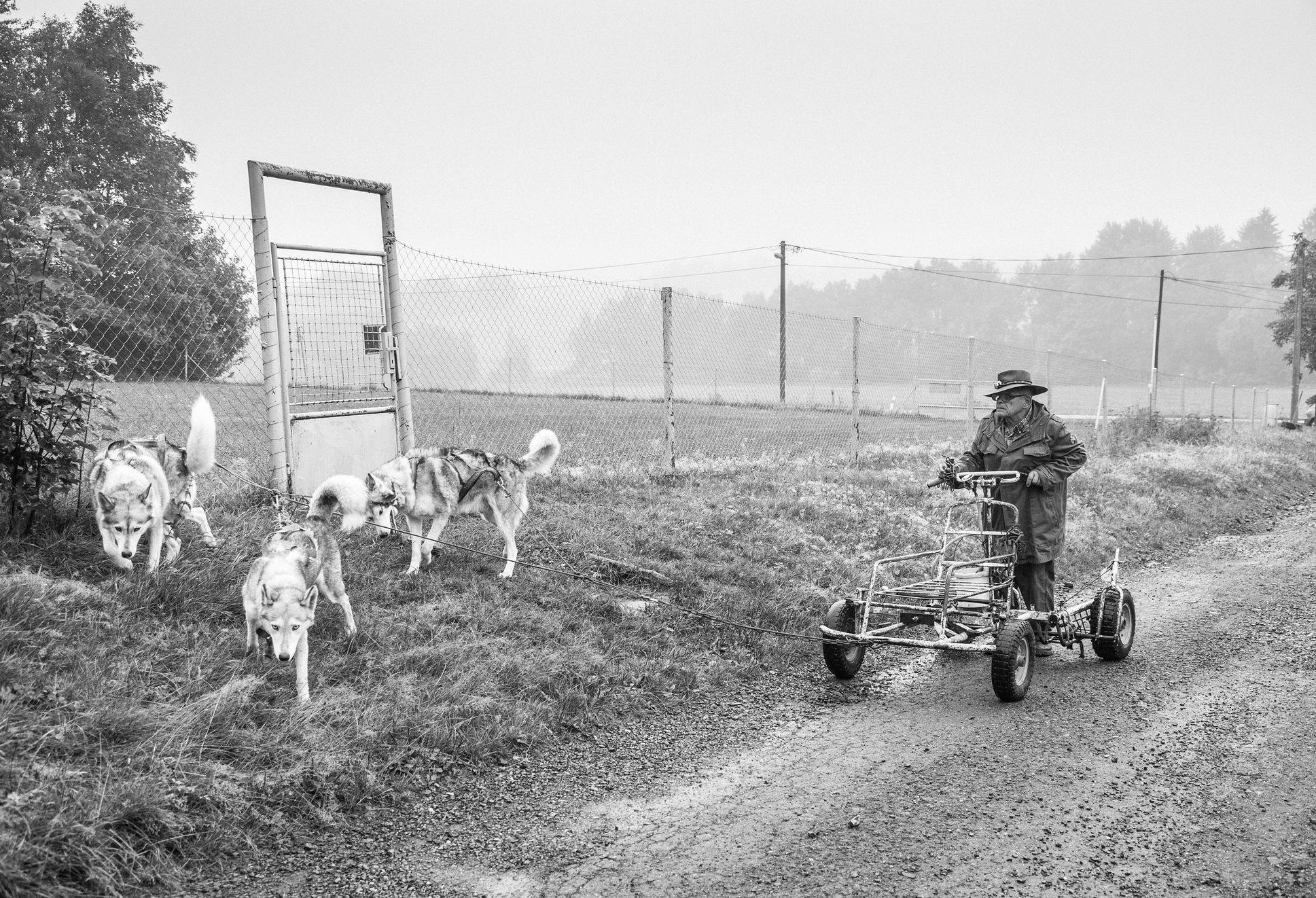 Aleš Palán, Samotáři 2