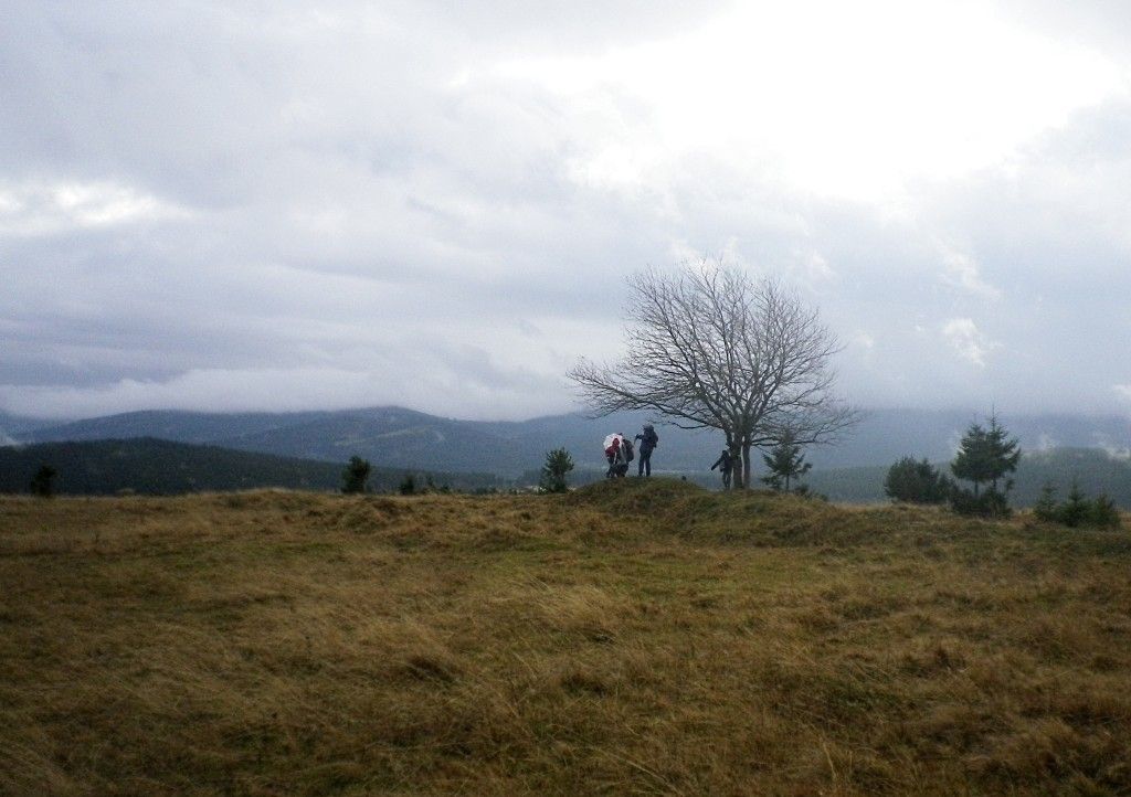 Šumava - Hadí vrch - podzim - nevlídné počasí - plýskanice - vítr