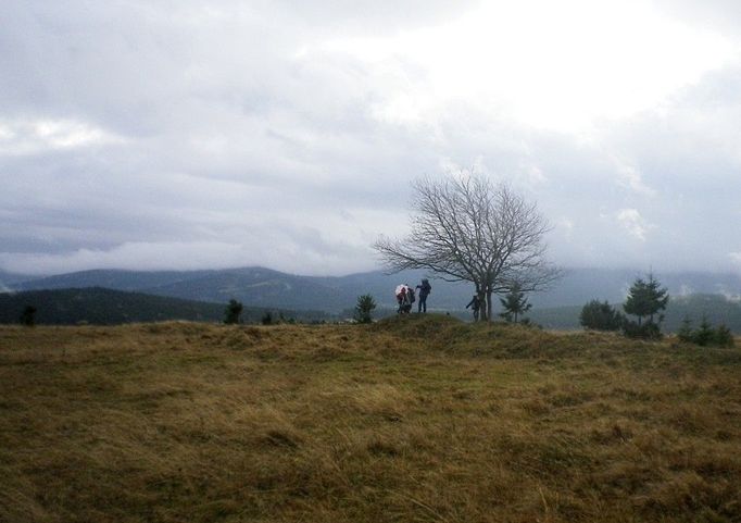 Šumava - Hadí vrch, v sobotu 2. listopadu 2013. O den později už na hřebenech Šumavy sněžilo.