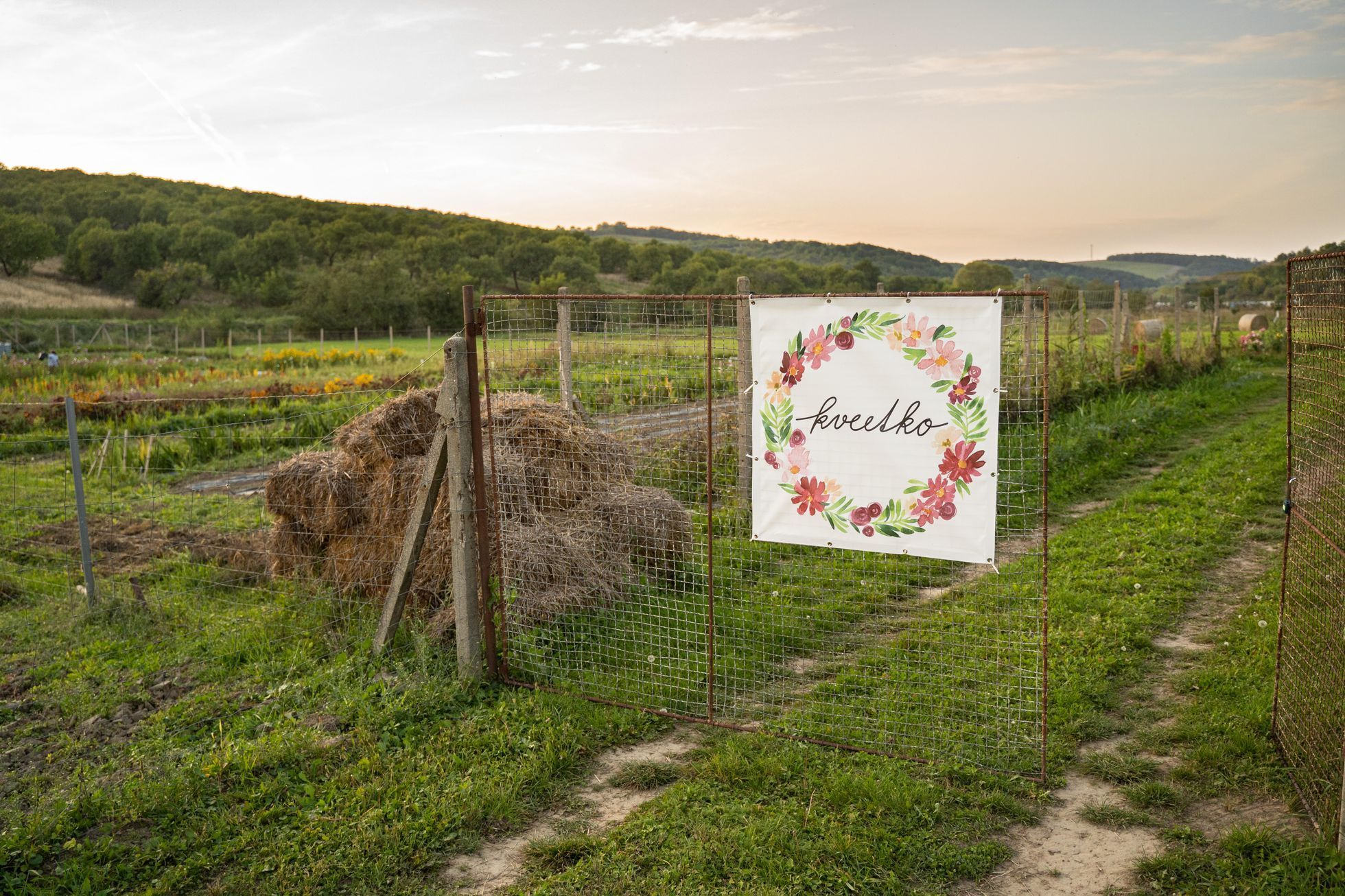 Kveetkomat Němčičky