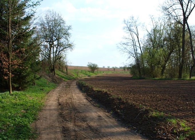 Středočeská ovocná stezka je tematicky zaměřená stezka věnovaná ovocnářství mezi Kolínem a Českým Brodem. Trasa je vedená po polních cestách a silnicích převážně III. třídy a je značena žlutým dopravním značením pro cyklotrasy s logem stezky.