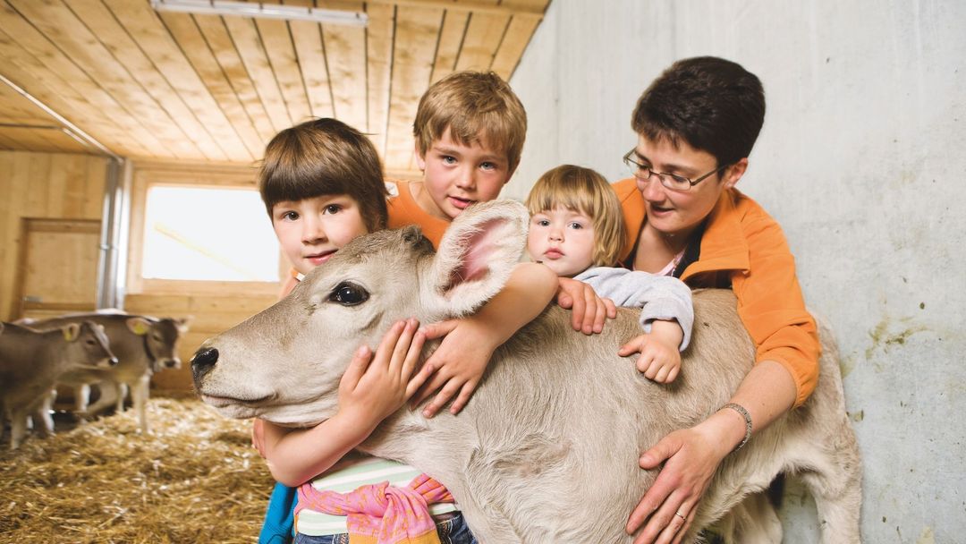 Ubytování na farmách ve Švýcarsku získává stále větší popularitu mezi rodinami.
