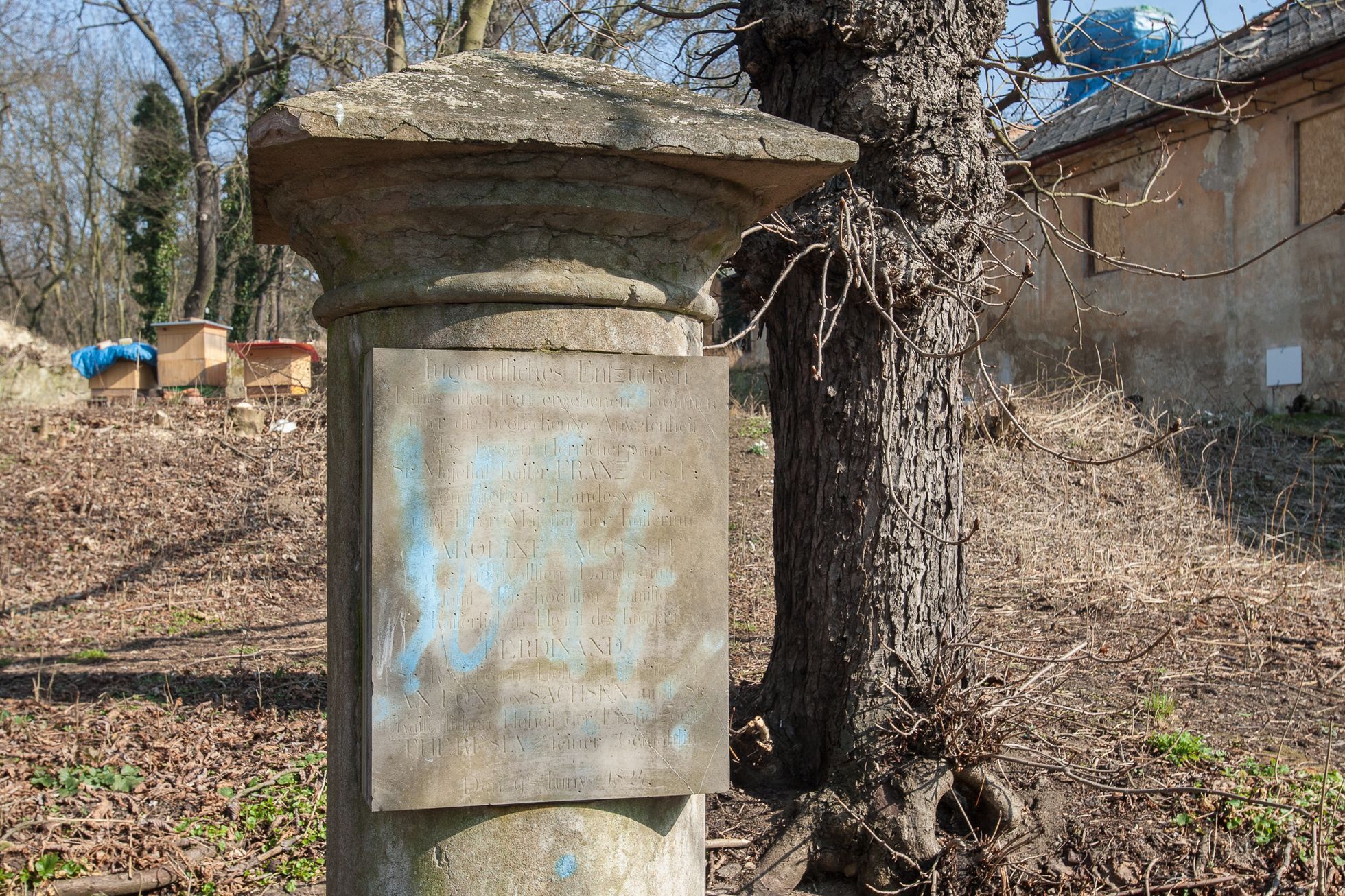 Statek Cibulka
