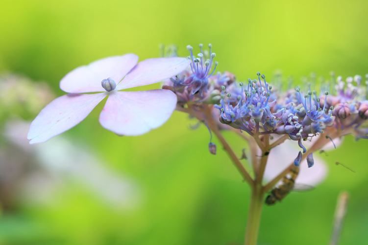 Week of Life - Dream Dream - 8.7.12 - 7