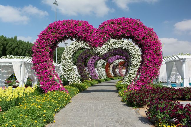 Zázračná (Miracle) zahrada, Dubaj, Spojené arabské emiráty