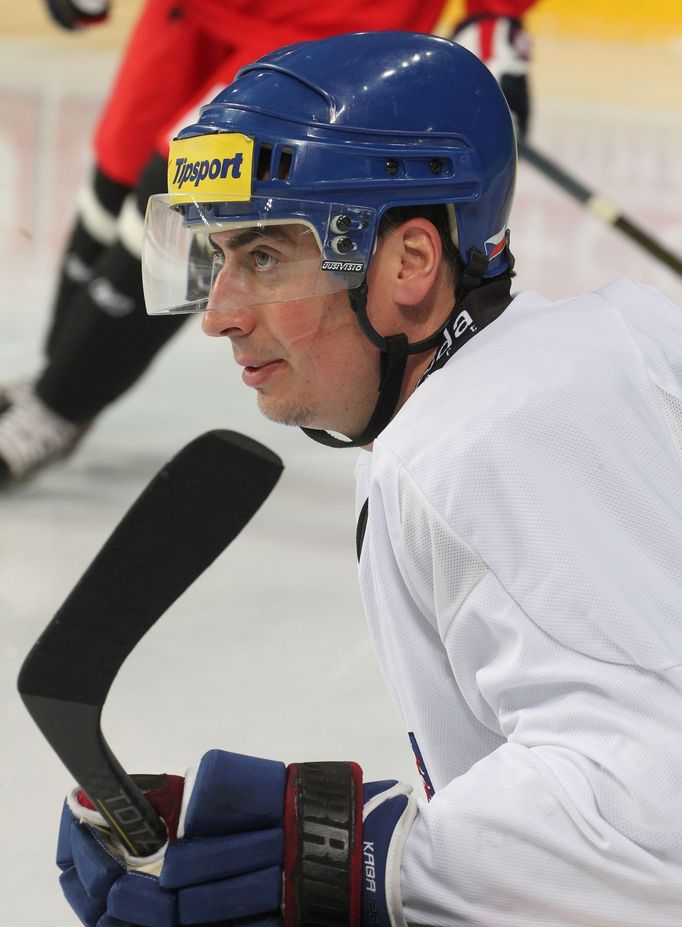 Česká hokejová reprezentace (Karjala Cup 2013) - Tomáš Kaberle